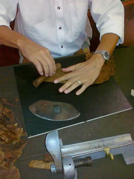 Cigar rolling